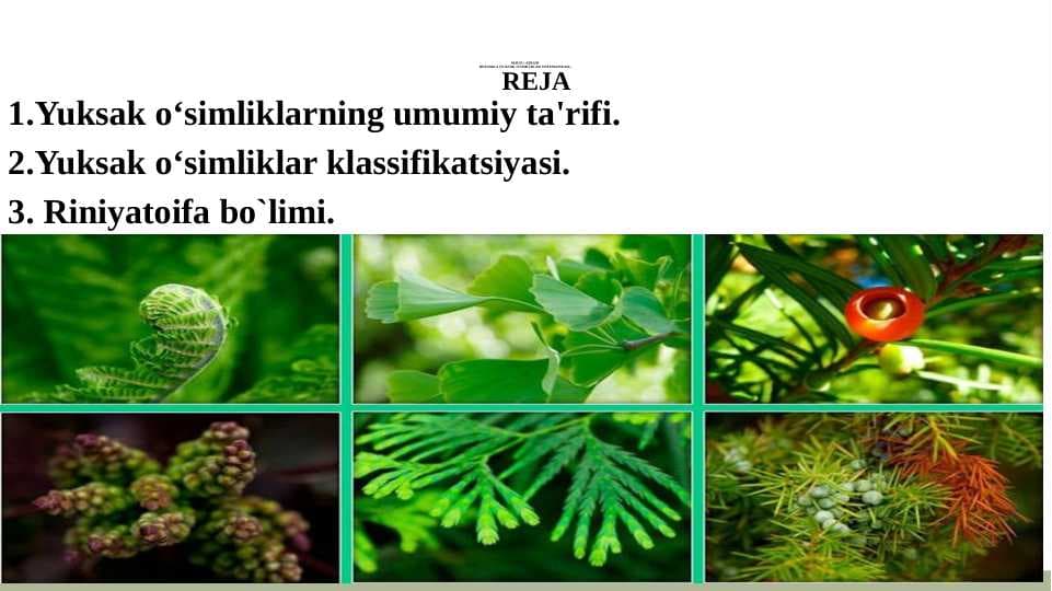 KIRISH BOTANIKA (YUKSAK O‘SIMLIKLAR SISTEMATIKASI).
