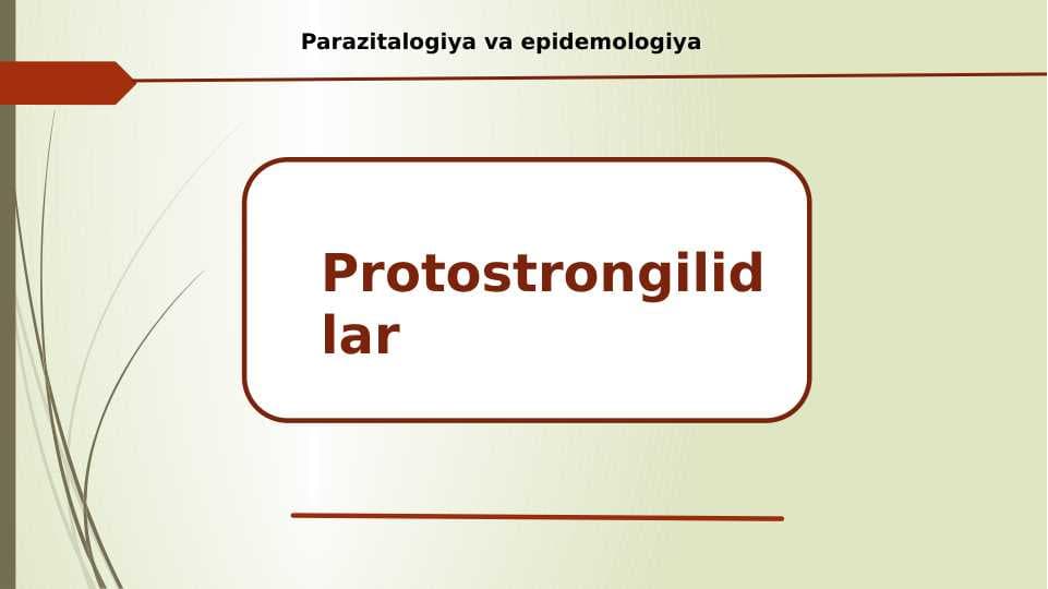 Protostrongilidlar