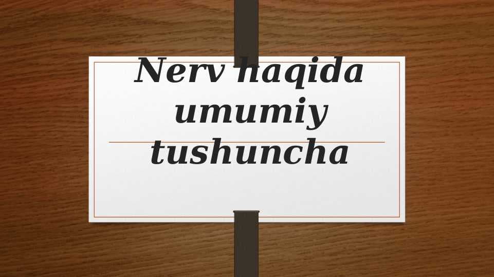 Nerv haqida umumiy tushuncha