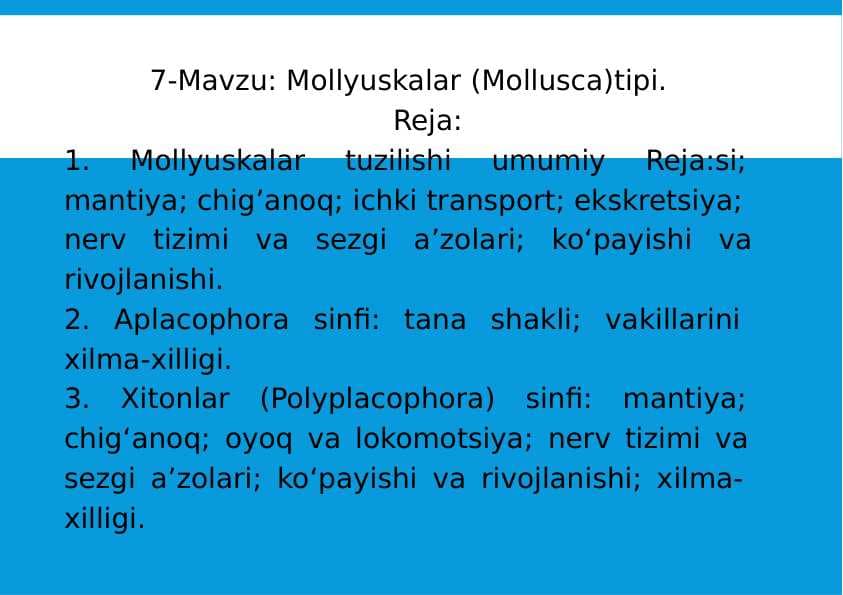 7-Mavzu: Mollyuskalar (Mollusca)tipi.