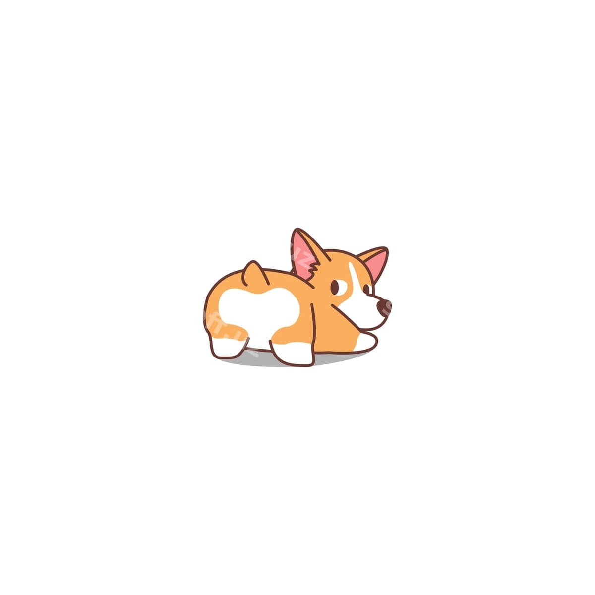 Gulsum Uelsh korgi it orqaga qarayotgan | Funny welsh corgi dog looking back
