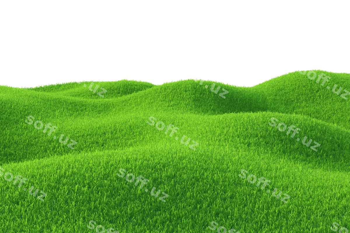 Yashil chaman maydoni | Green grass field