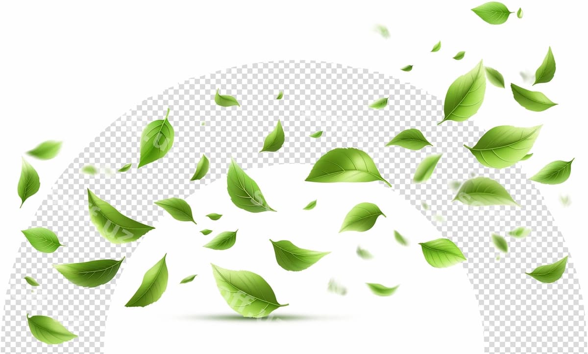 Yashil varaqlar havo ichida uchmoqda | Green leaves flying air