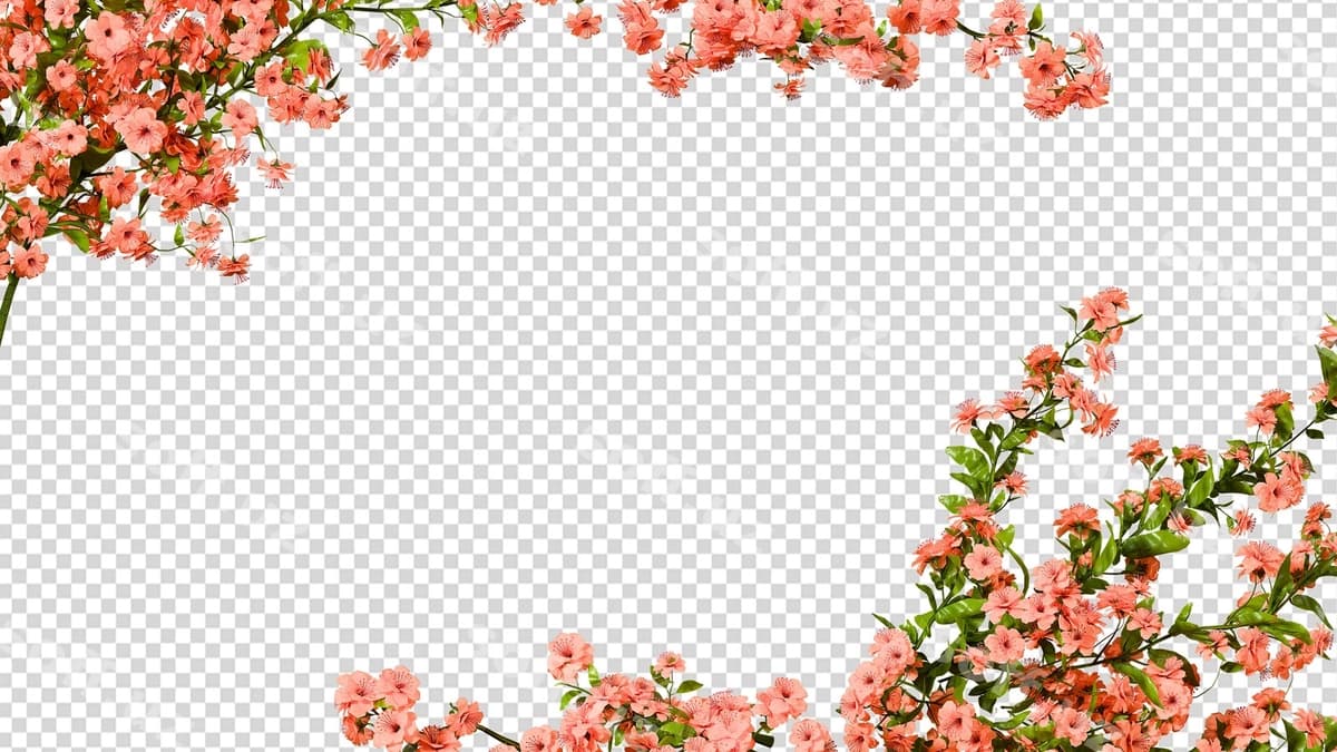 Yashil ramka botanika dekorasi | Greenery frame botanical decor