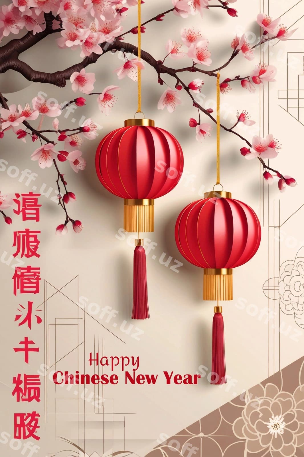 Baxirli Xitoy Yangi Yili | Happy chinese new year