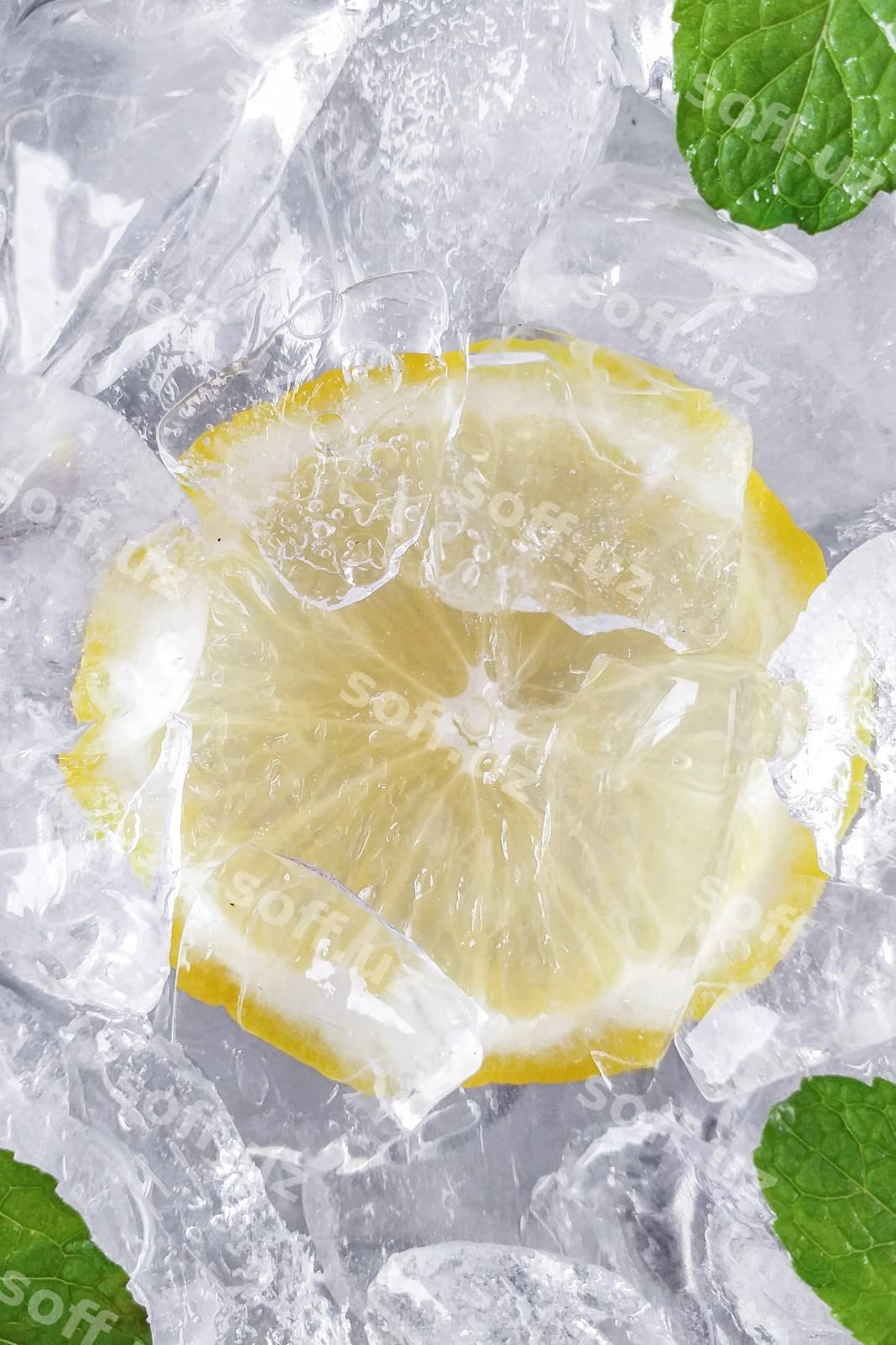 Balansi katta burchakdan limon aroldi | High angle view lemon slice