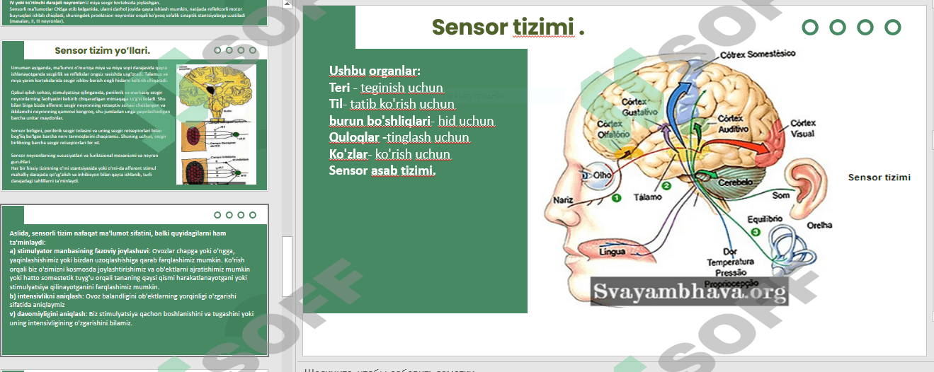 Sensor tizimlar biokimyoviy asoslari.