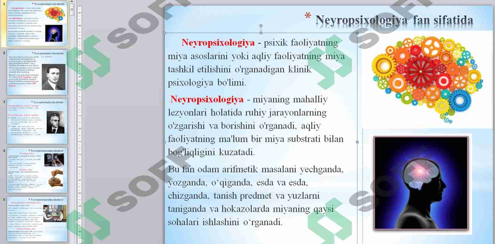 Neyropsixologiya