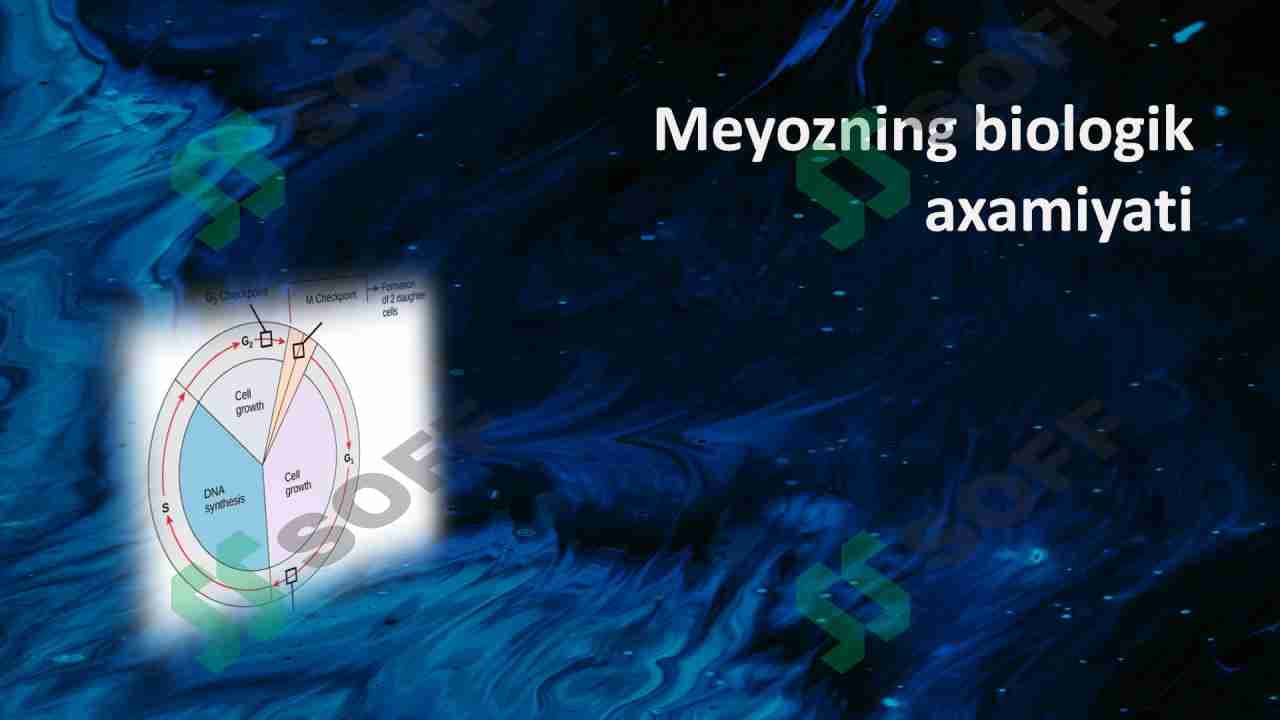 Meyozning biologik axamiyati