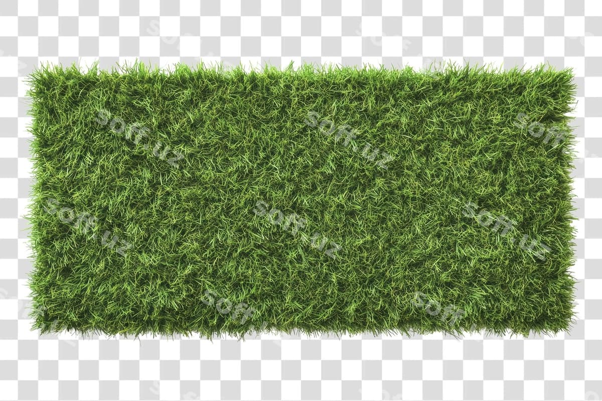 Boyoq yashil sun'iy o'tli gilot | Lush green artificial grass mat