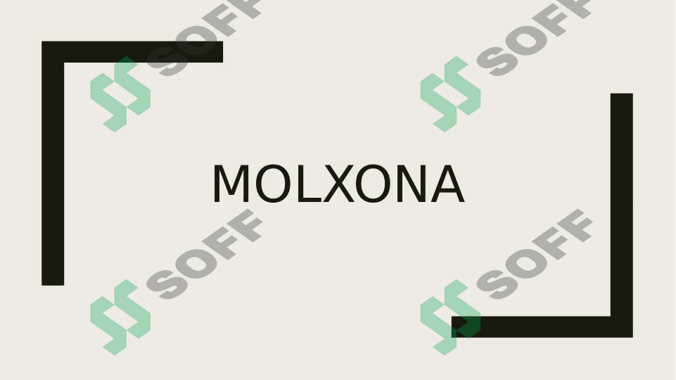 MOLXONA (roman)