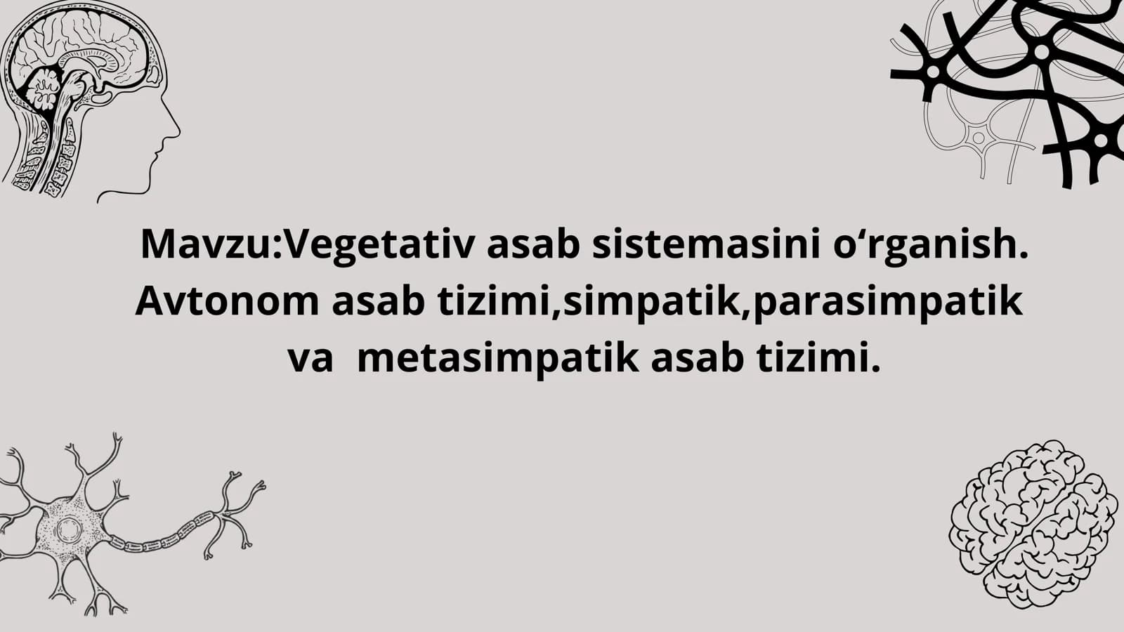Vegetativ asab sistemasini oʻrganish
