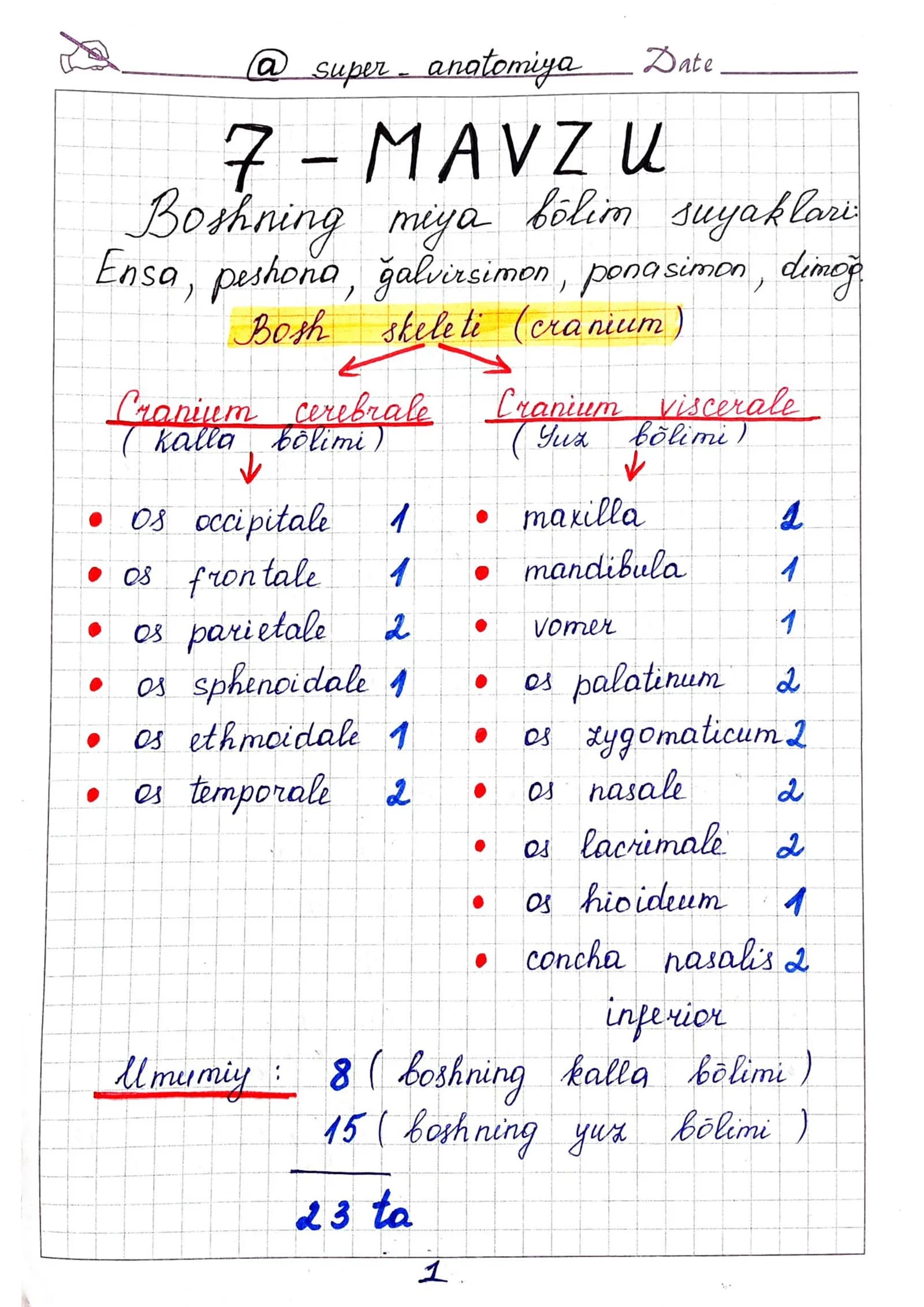 Ensa, ponasimon, peshona, g'alvirsimon, dimog' suyaklari anatomiyasi