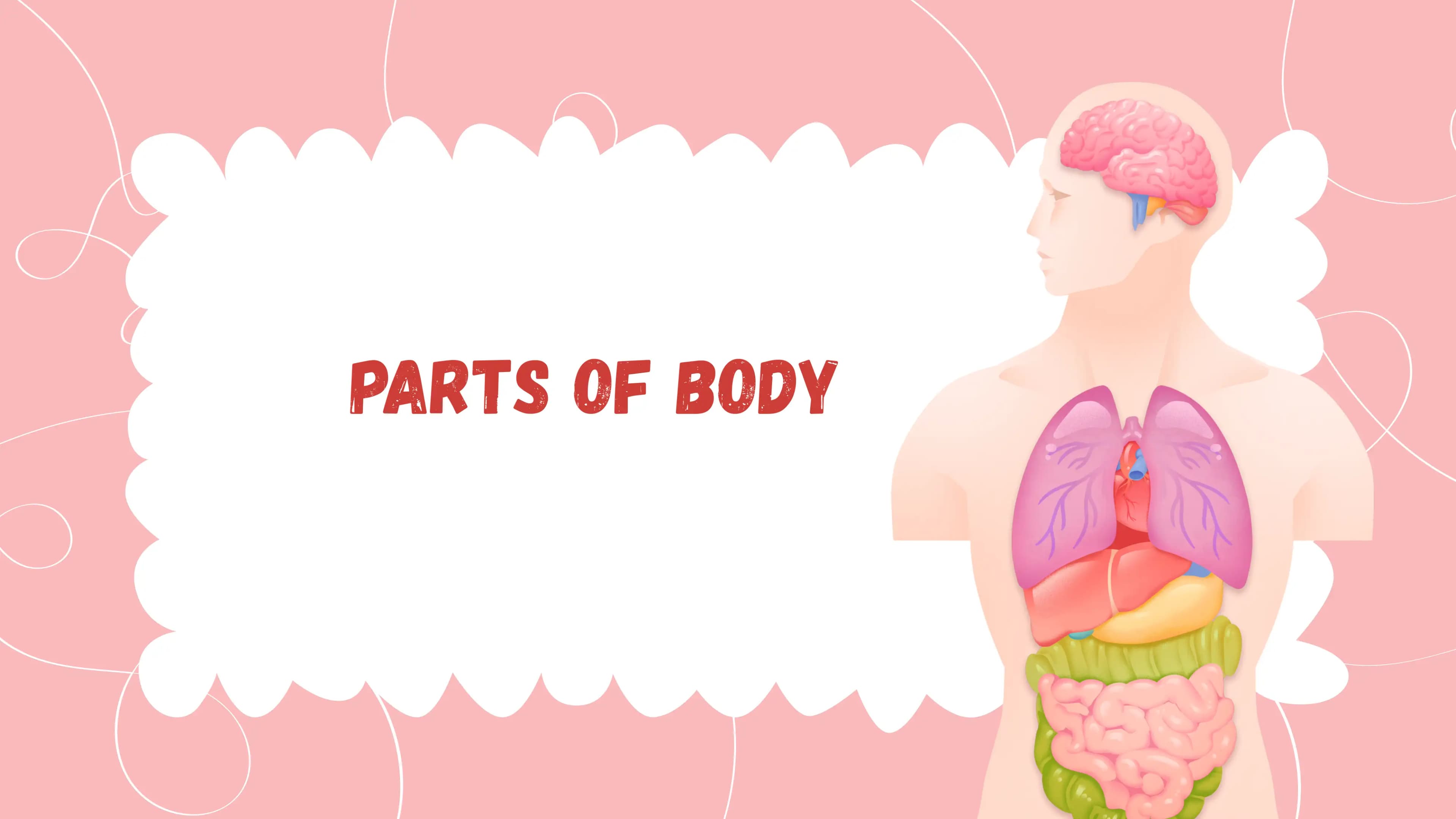 Parts of Body