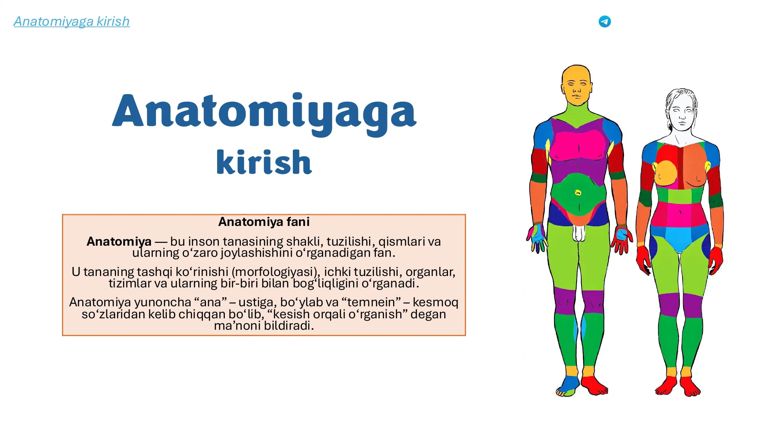 Anatomiyaga kirish