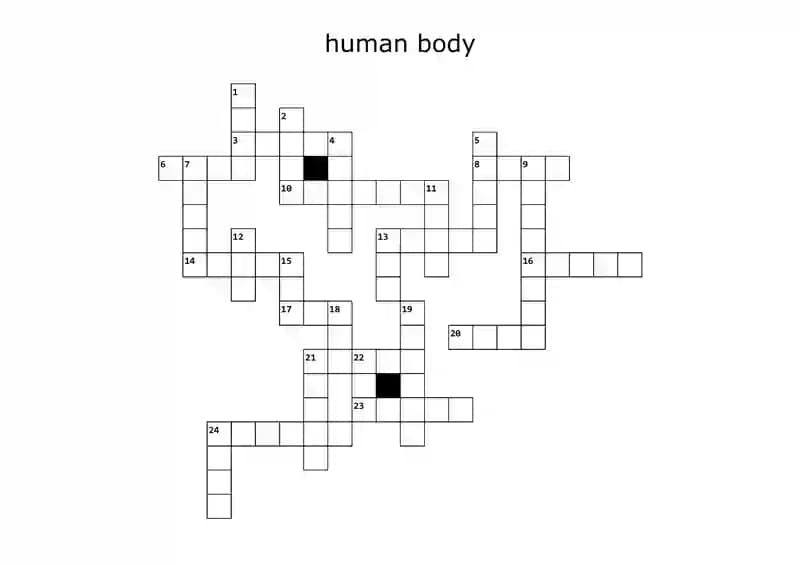 Human Body Anatomy Puzzle