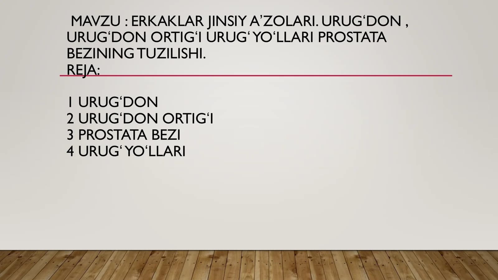 Erkaklar jinsiy sistemasi