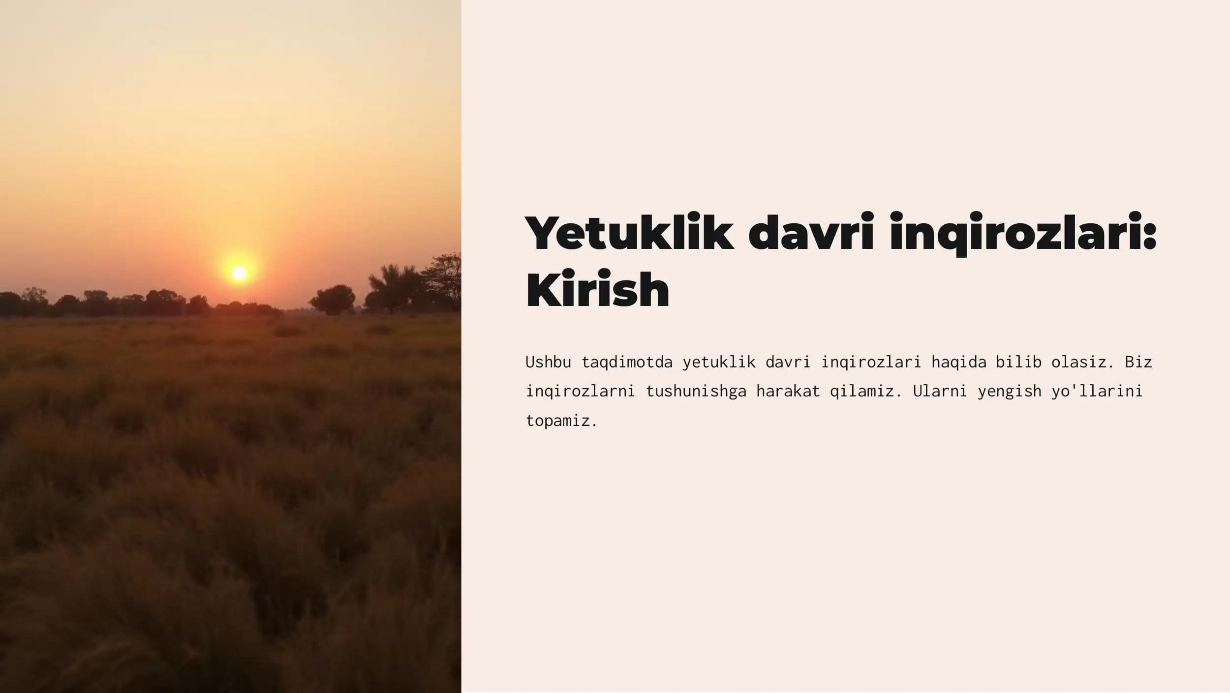 Yetuklik davri inqirozlari