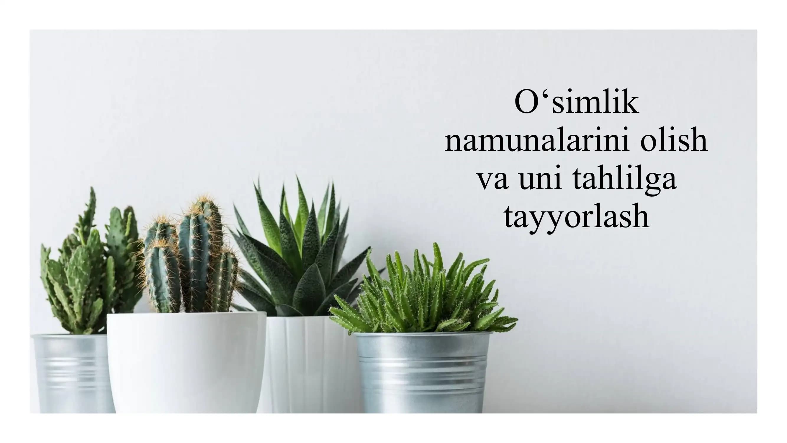 Oʻsimlik namunalarini olish va uni tahlilga tayyorlash