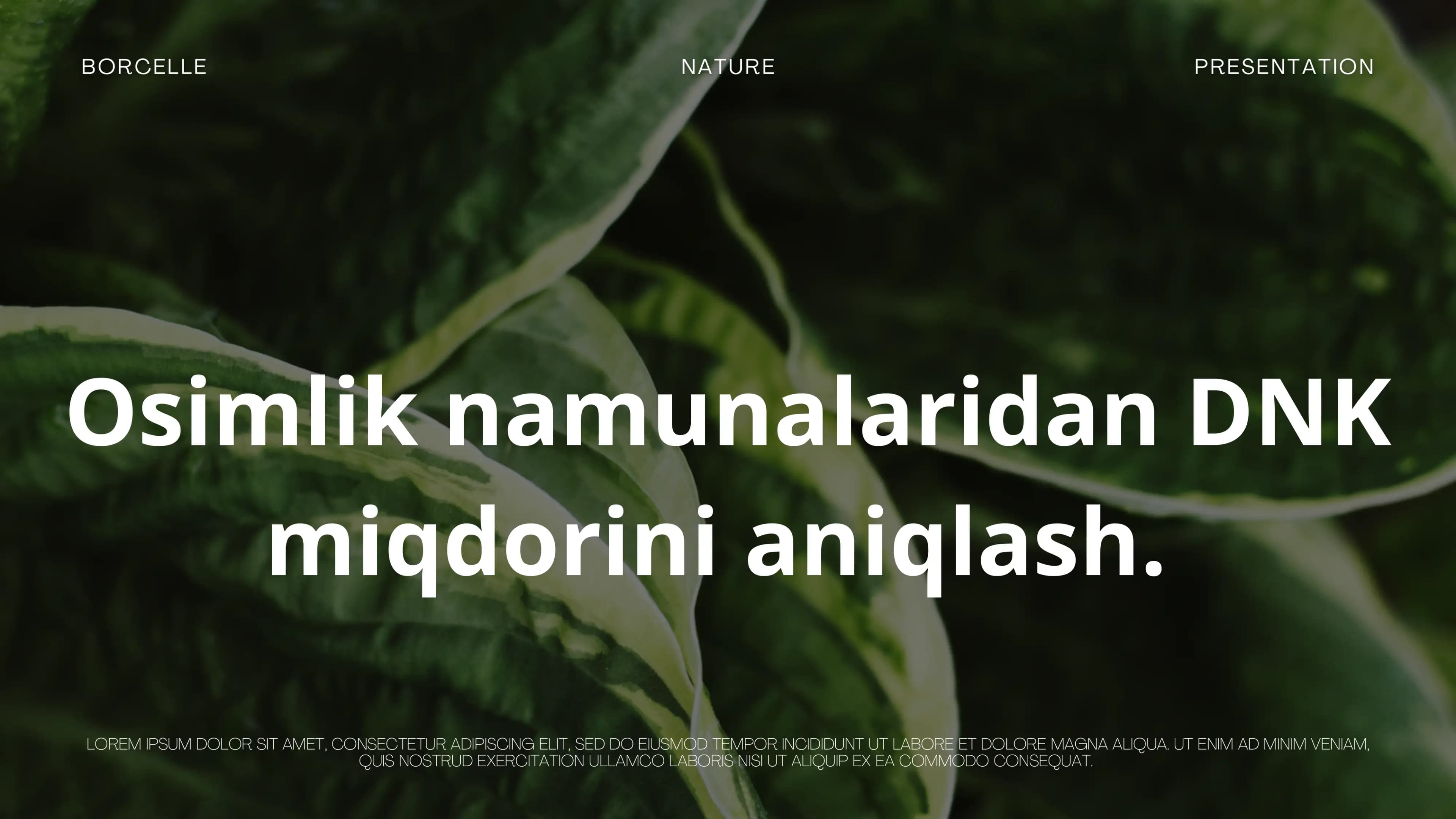 DNK haqida prezintatsiya
