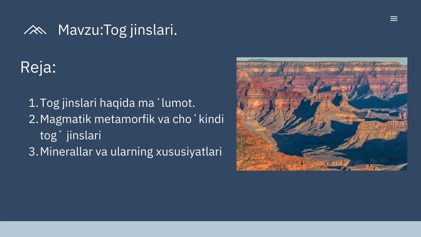 Tog jinslari