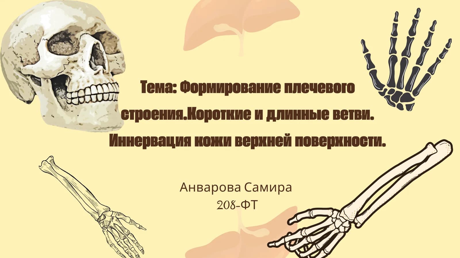 Формирование плечевого строения
