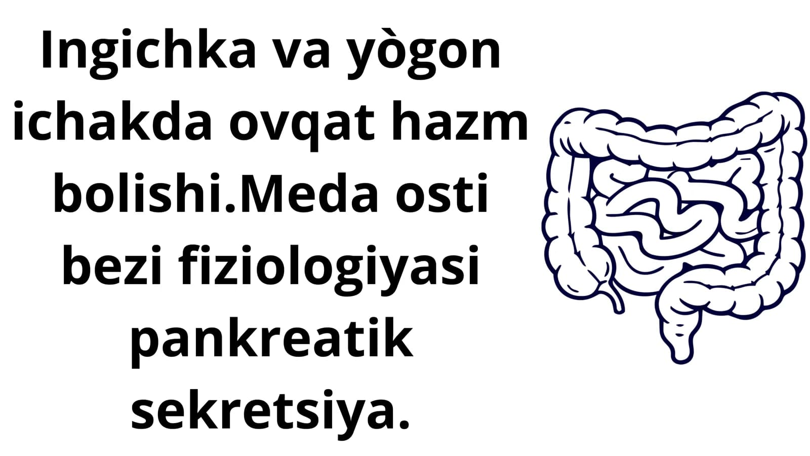 Ingichka va yògon ichak
