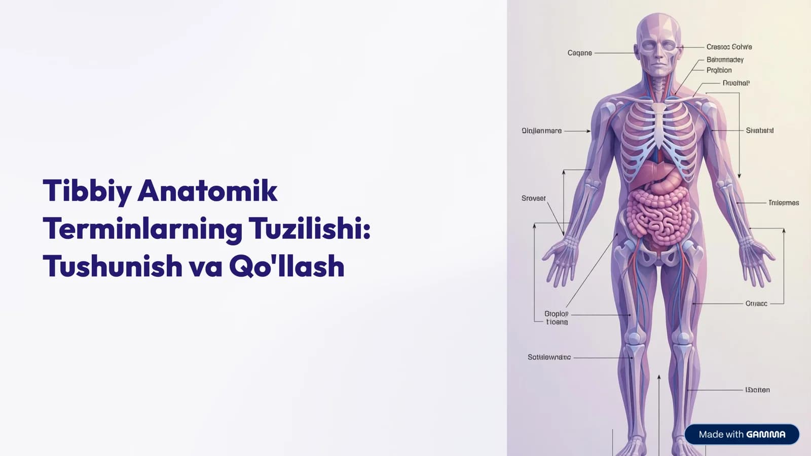 Tibbiy Anatomik