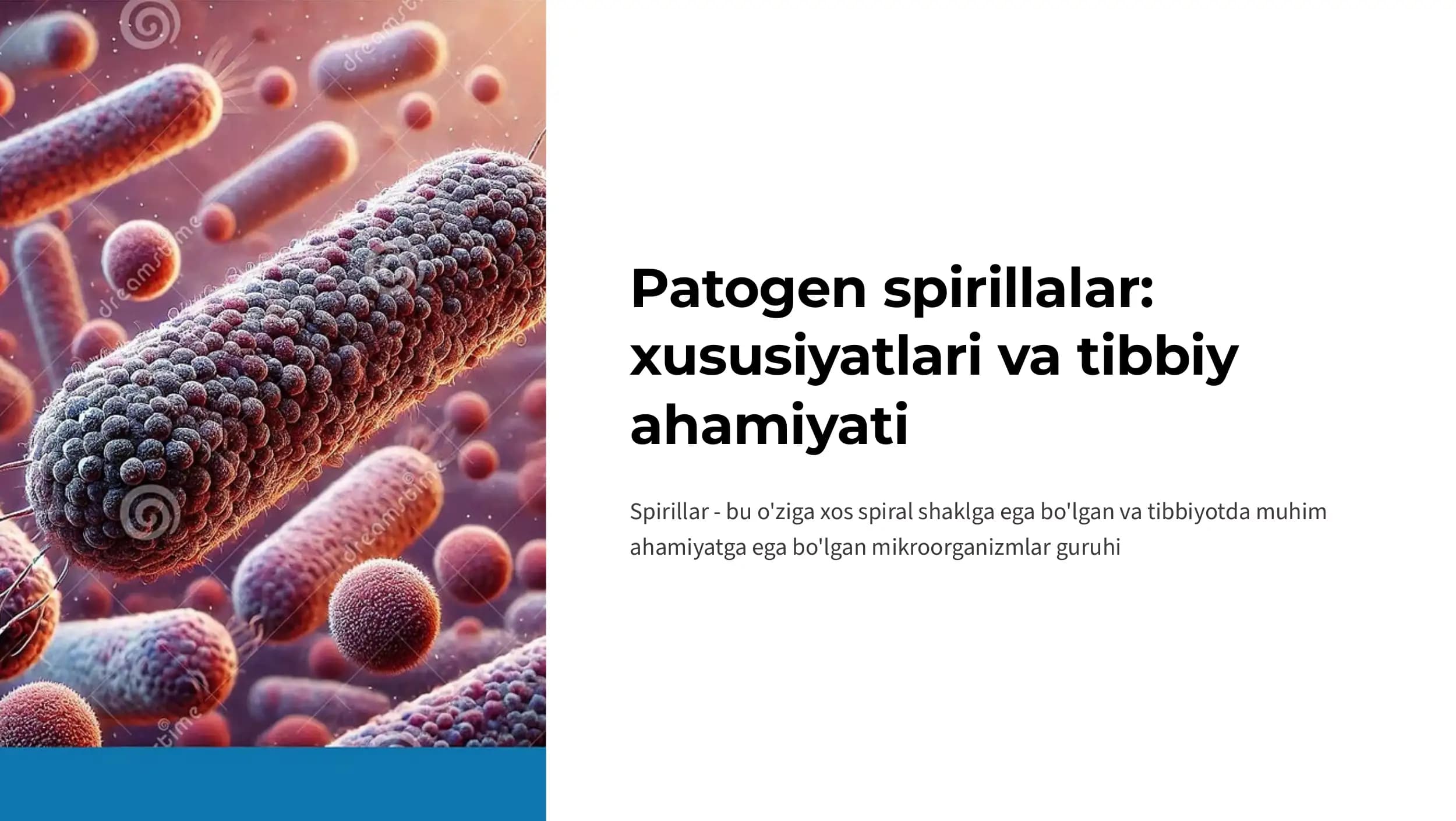 Patogen spirillalar.