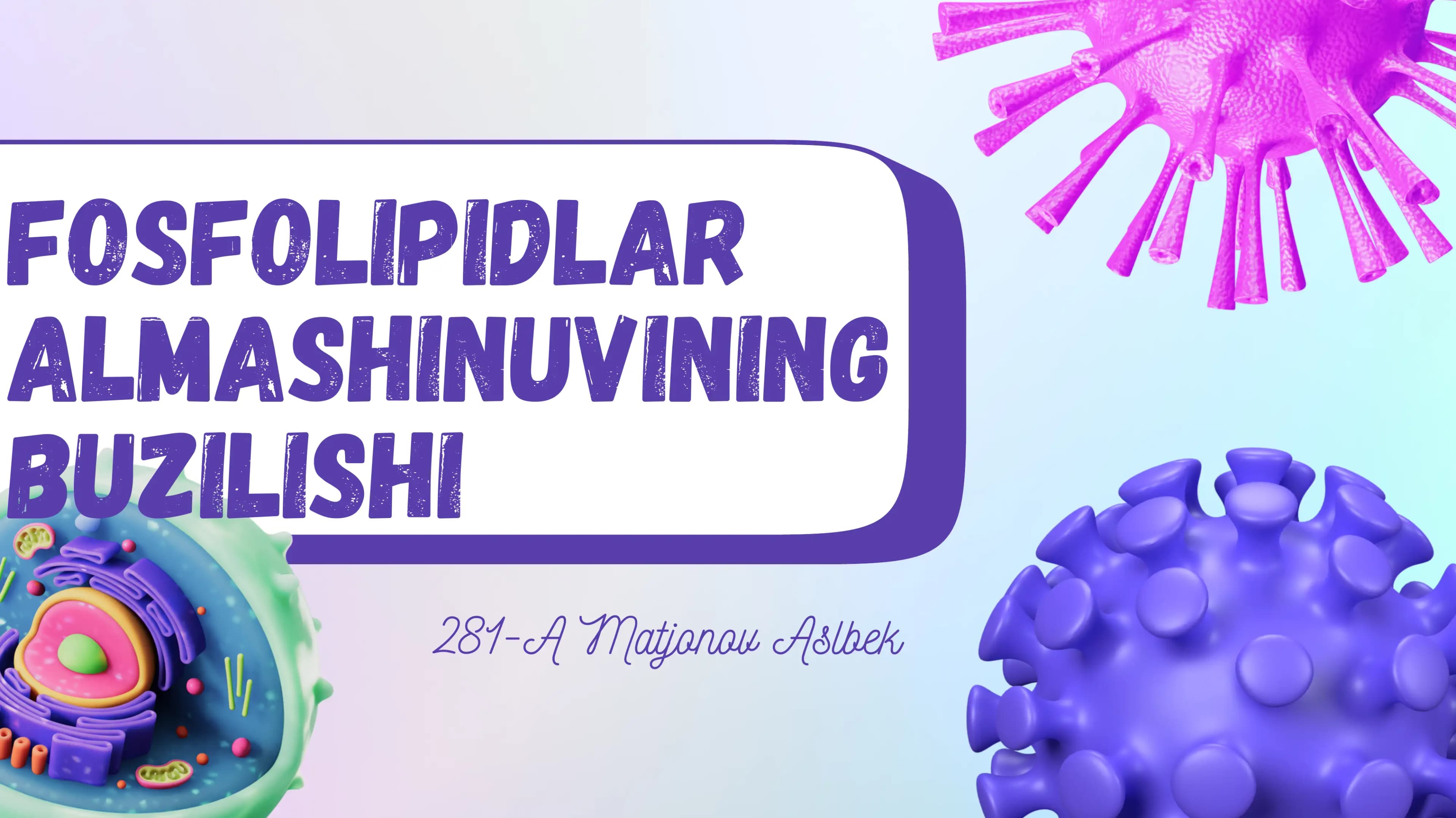 FOSFOLIPIDLAR ALMASHINUVINING BUZILISHI