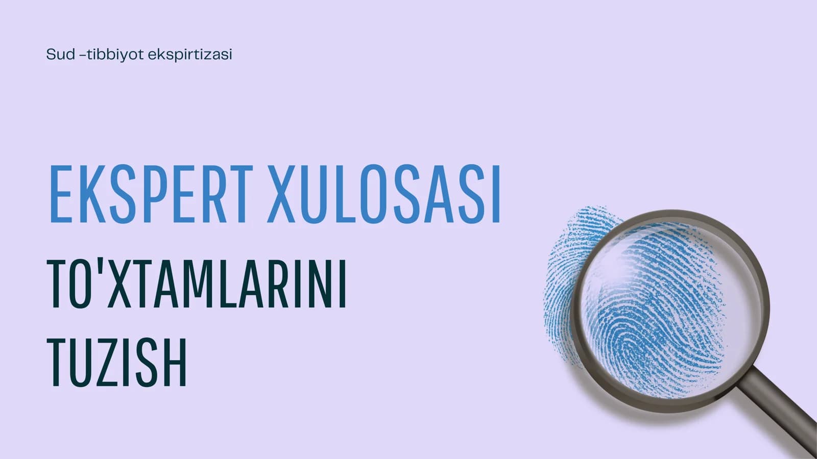 Ekspert xulosasi to'xtamlarini tuzish