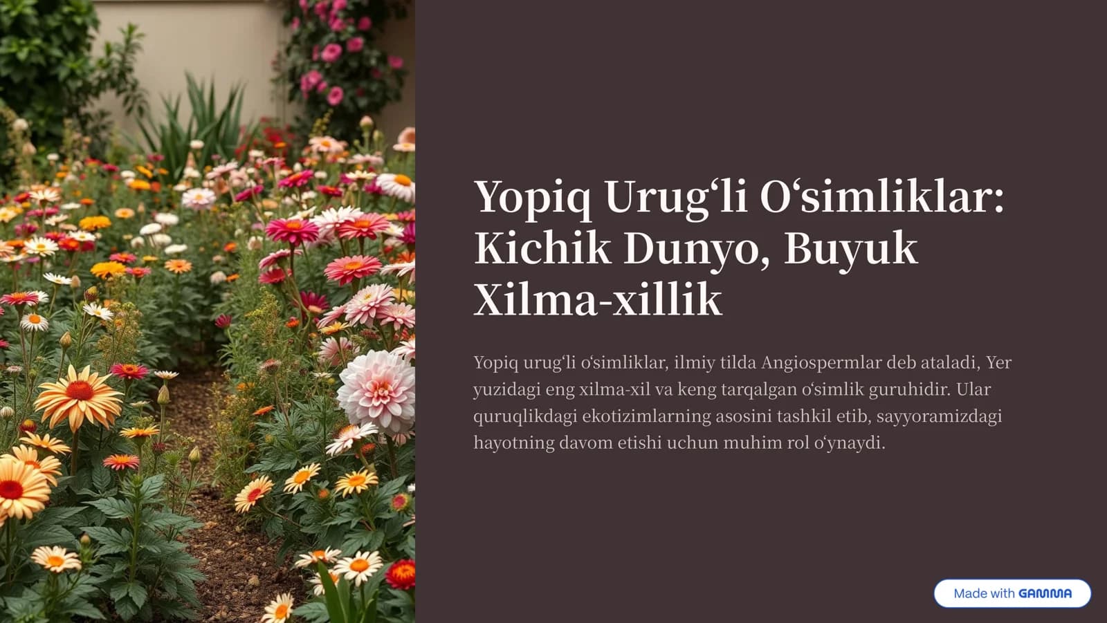 Yopiq Urug»li O»simliklar