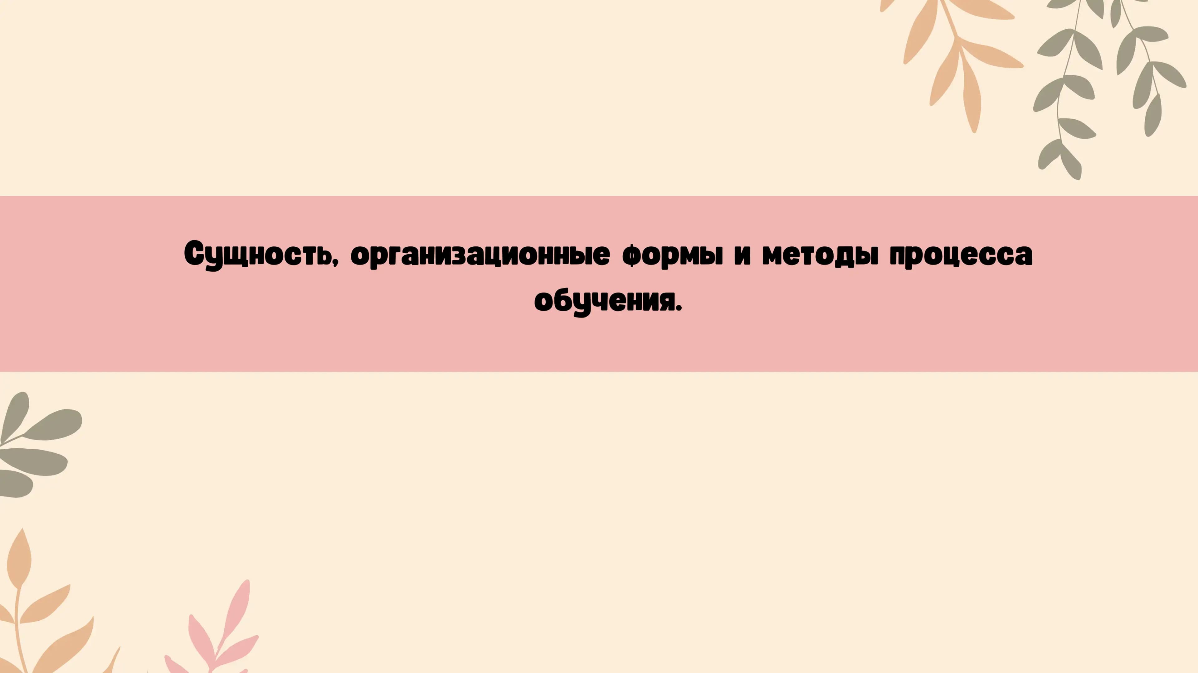 Сущность, организационные формы и методы процесса обучения.