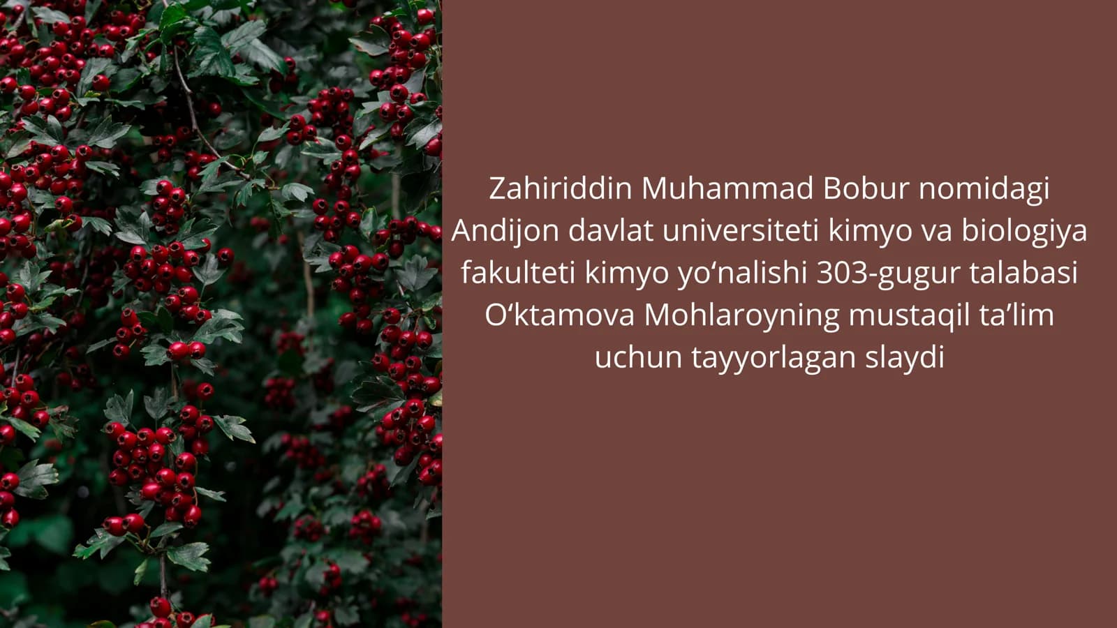 Na'matakning kimyoviy tarkibi