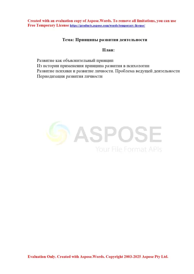 Принципы развития деятельности
