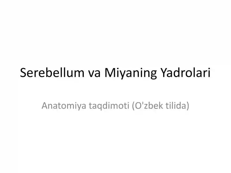 Serebellum va Miyaning Yadrolari