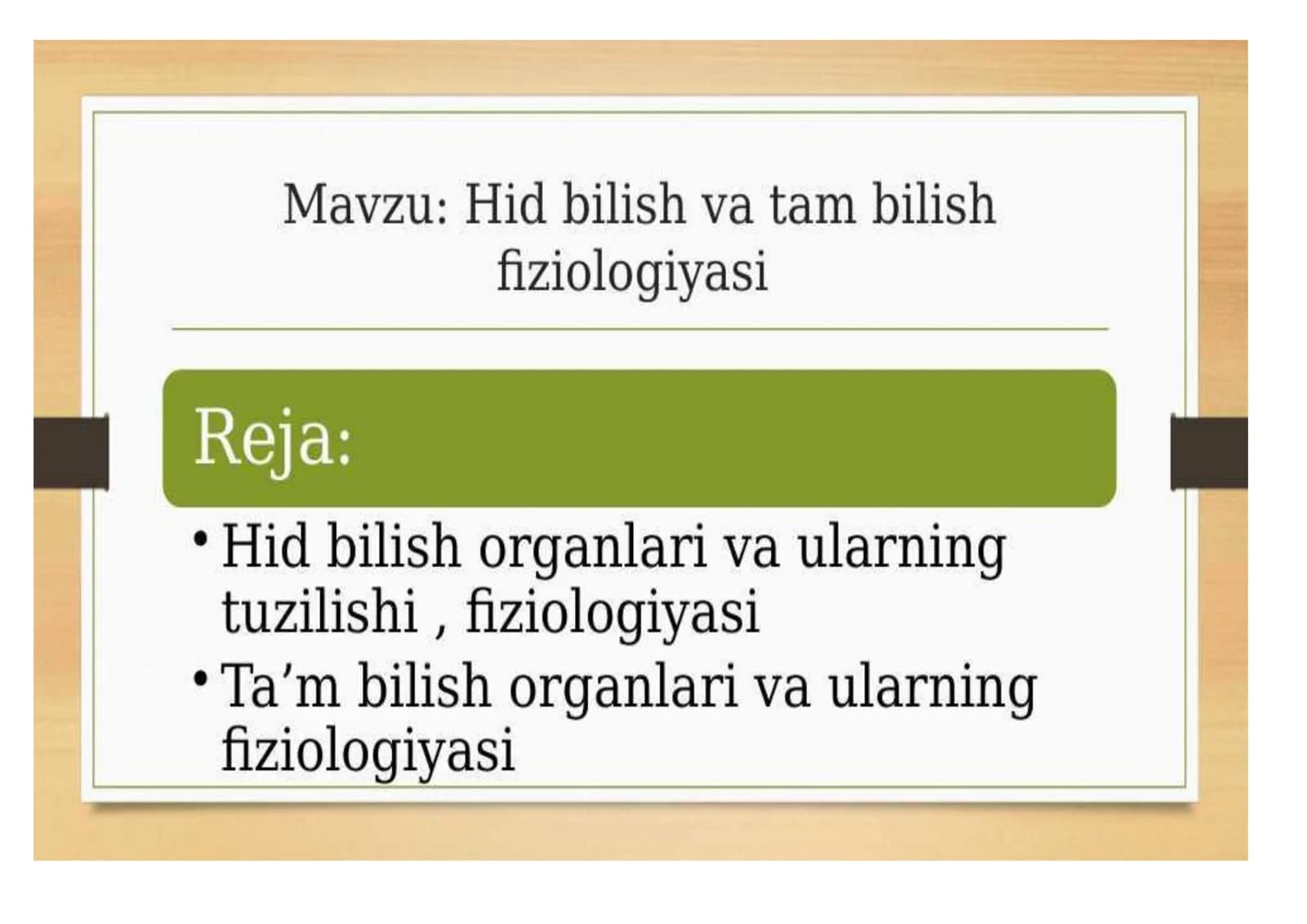 Teri analizatori (Teri sezgisi)