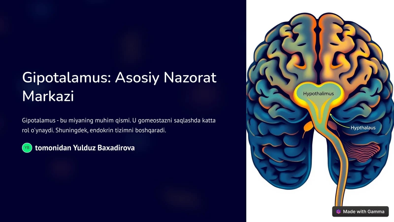 Gipotalamus: Asosiy Nazorat Markazi