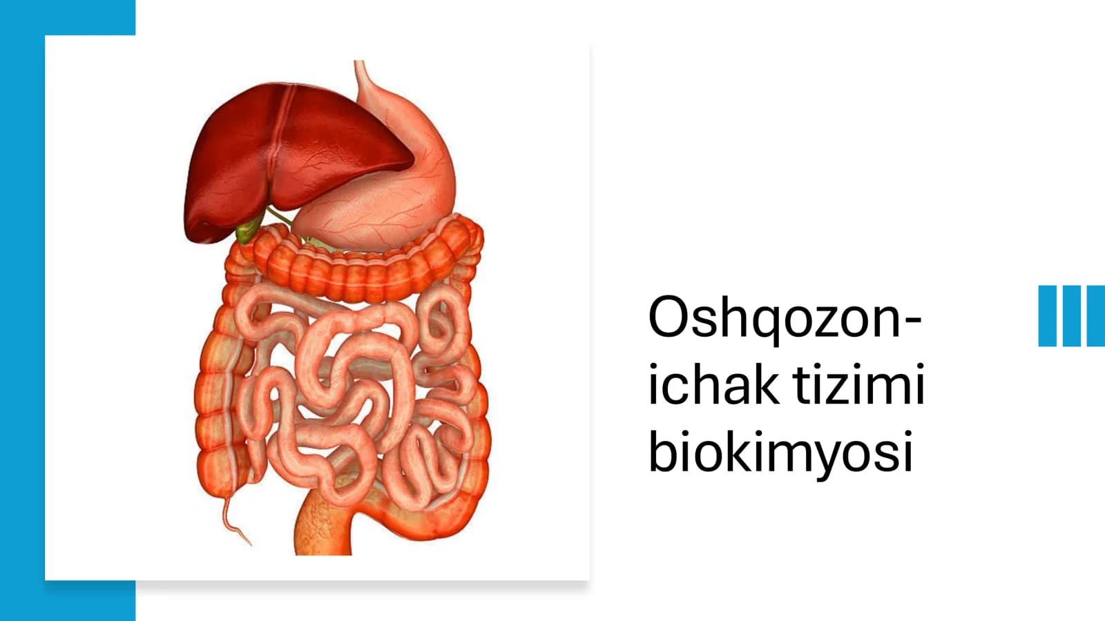 Oshqozon- ichak tizimi biokimyosi​