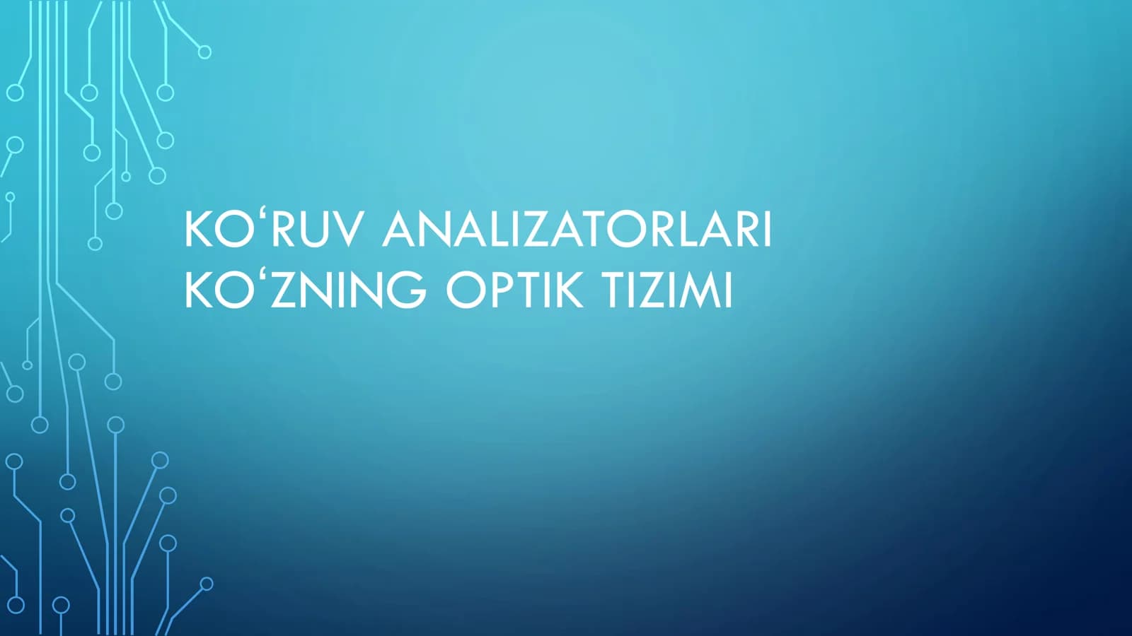 KOʻRUV ANALIZATORLARI