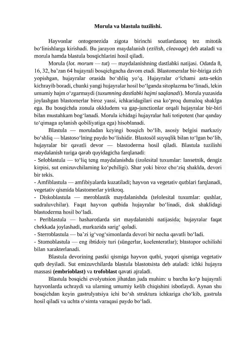 Morula va blastula tuzilishi