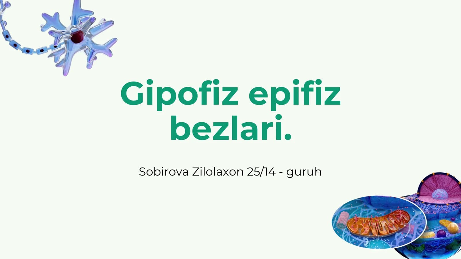 Gipofiz epifiz bezlari