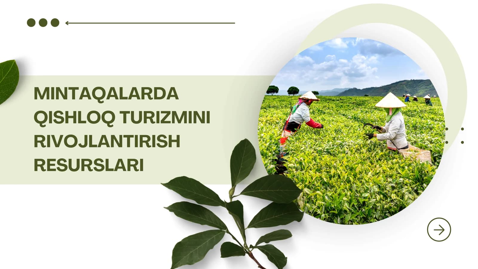 Mintaqalarda qishloq turizmini rivojlantirish resurslari