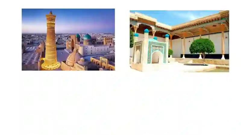 Mustaqil ish turizm turpaket yaratish namuna