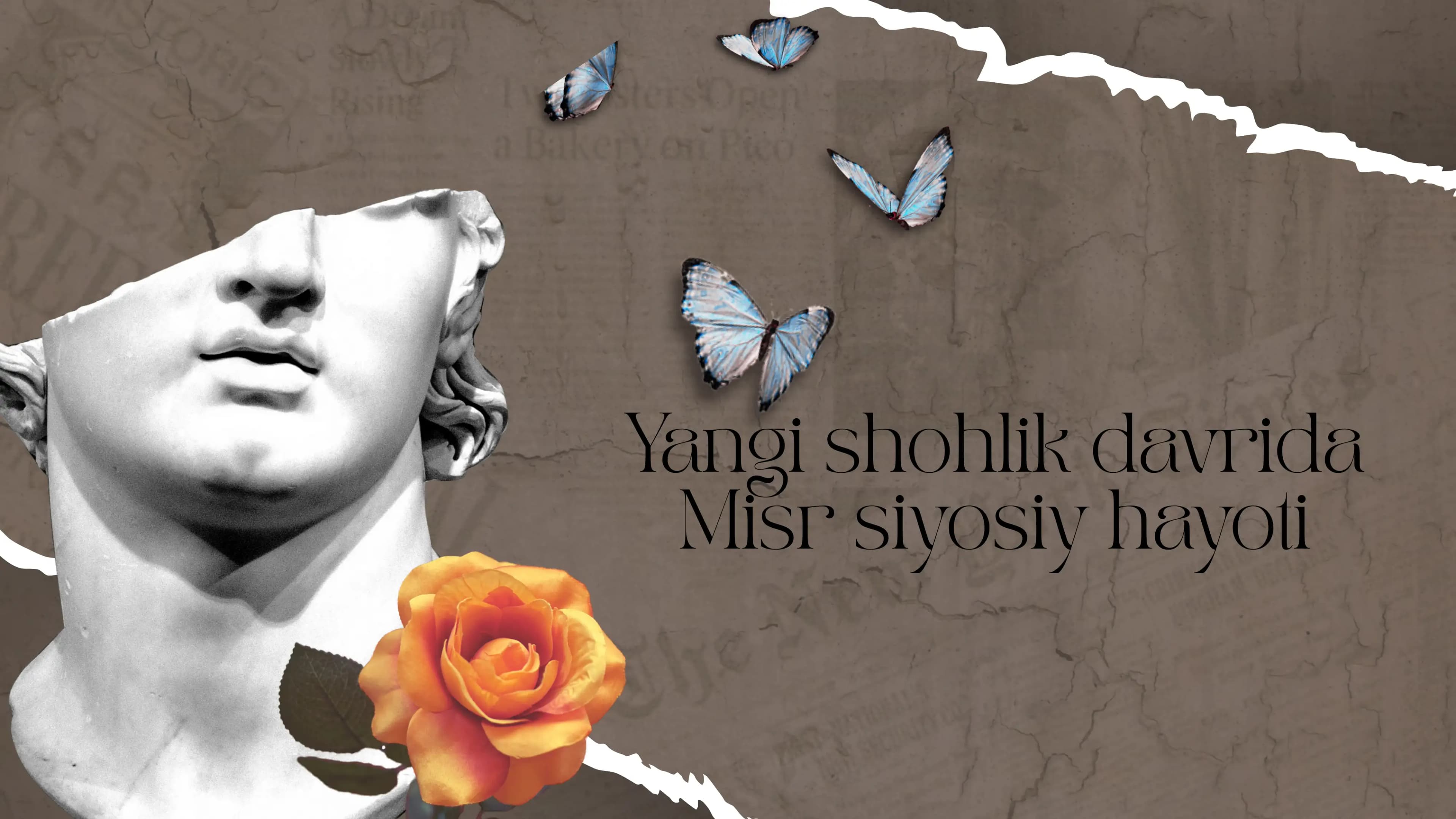 Yangi Shohlik