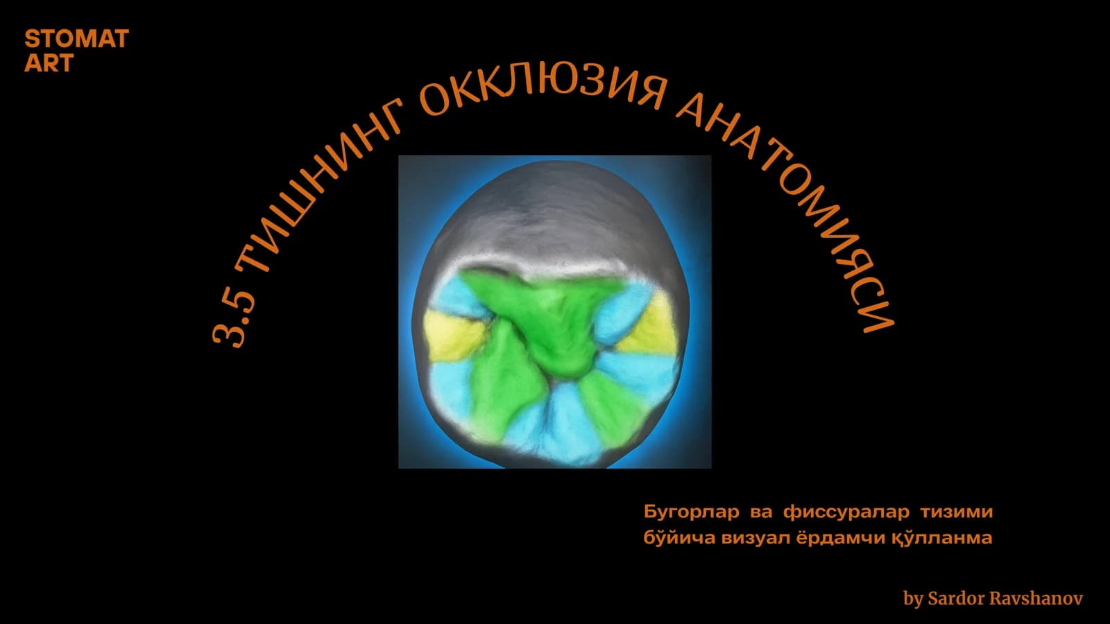 Tishning oklyuza Anatomiyasi