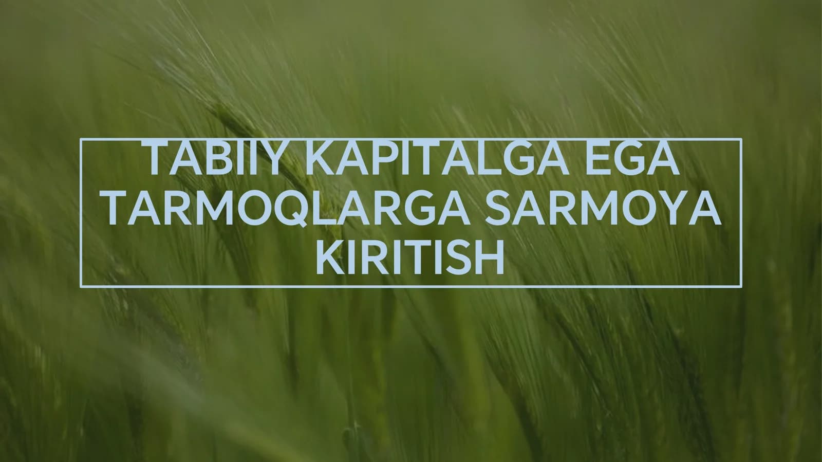 TABIIY KAPITALGA EGA
