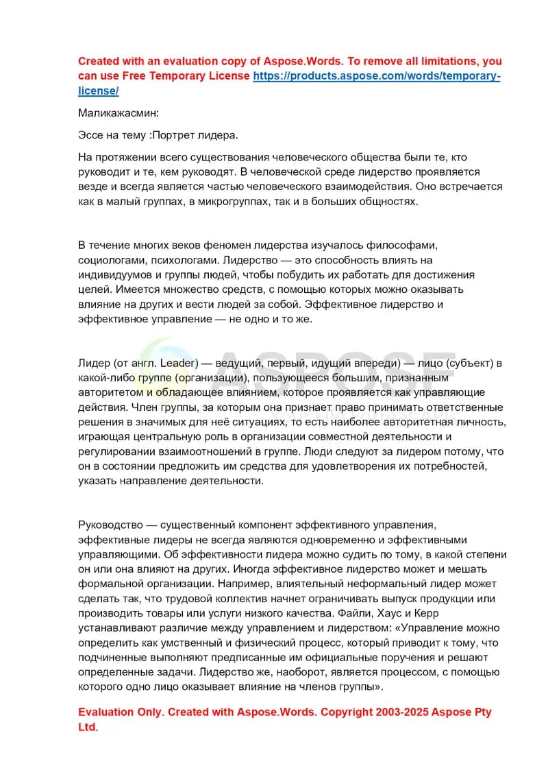 Эссе «Портрет лидера»