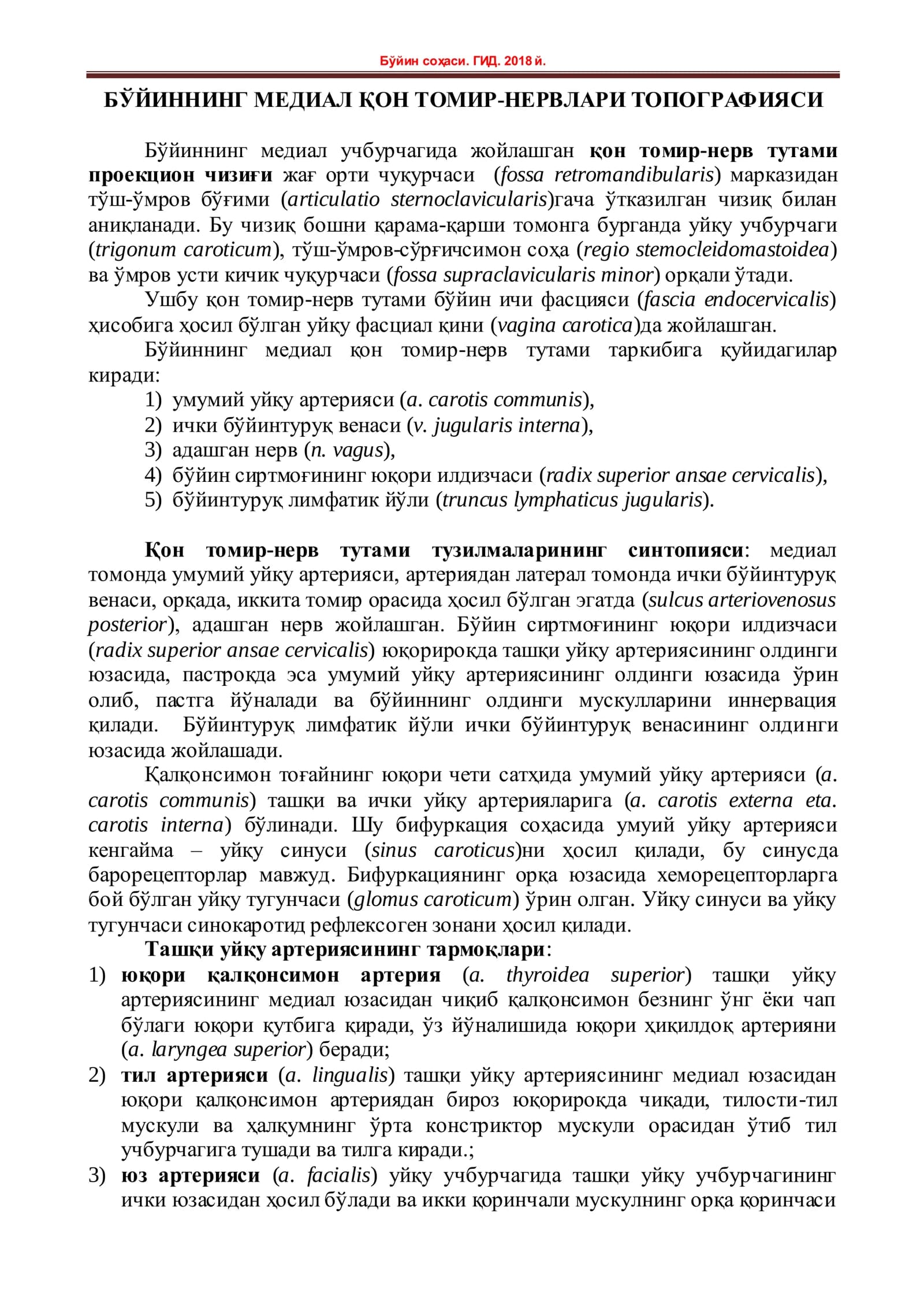 БЎЙИННИНГ МЕДИАЛ ҚОН ТОМИР-НЕРВЛАРИ ТОПОГРАФИЯСИ