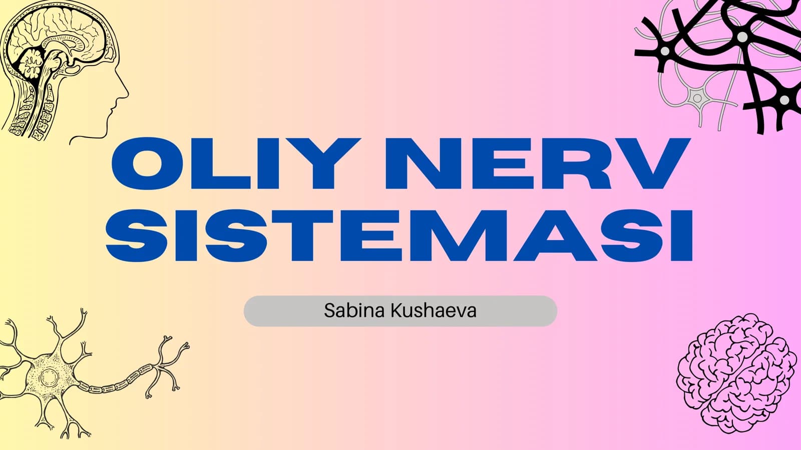 Oliy Nerv Sistemasi
